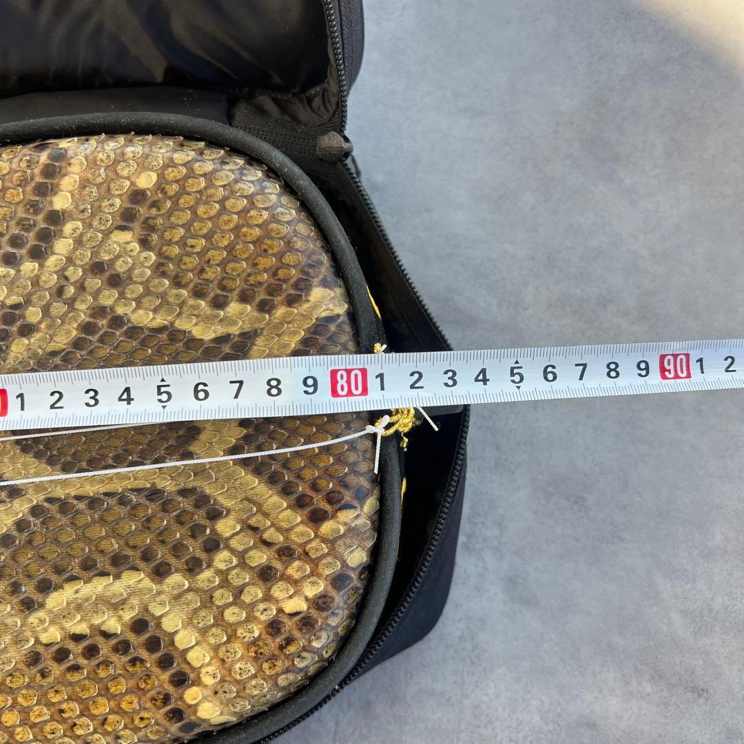 沖縄三線 人工蛇皮 琉球 民族楽器 伝統楽器 入門 初心者 本格 琉球