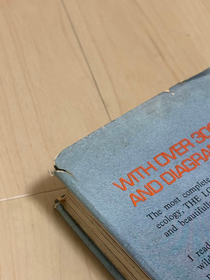 THE LONG AFRICAN DAY / Norman Myers (洋書)