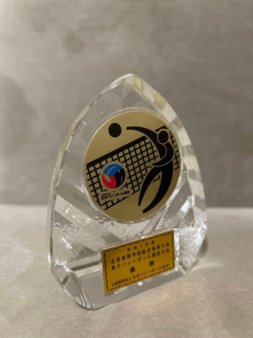 (鎮西高校)バレーボール インターハイ優勝記念たて