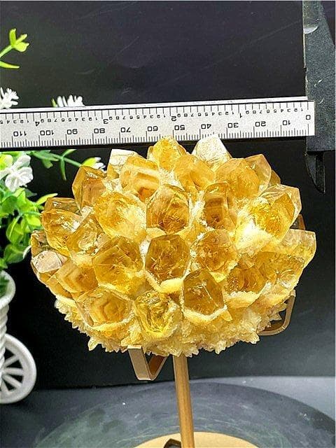 2点まとめて専用ページ