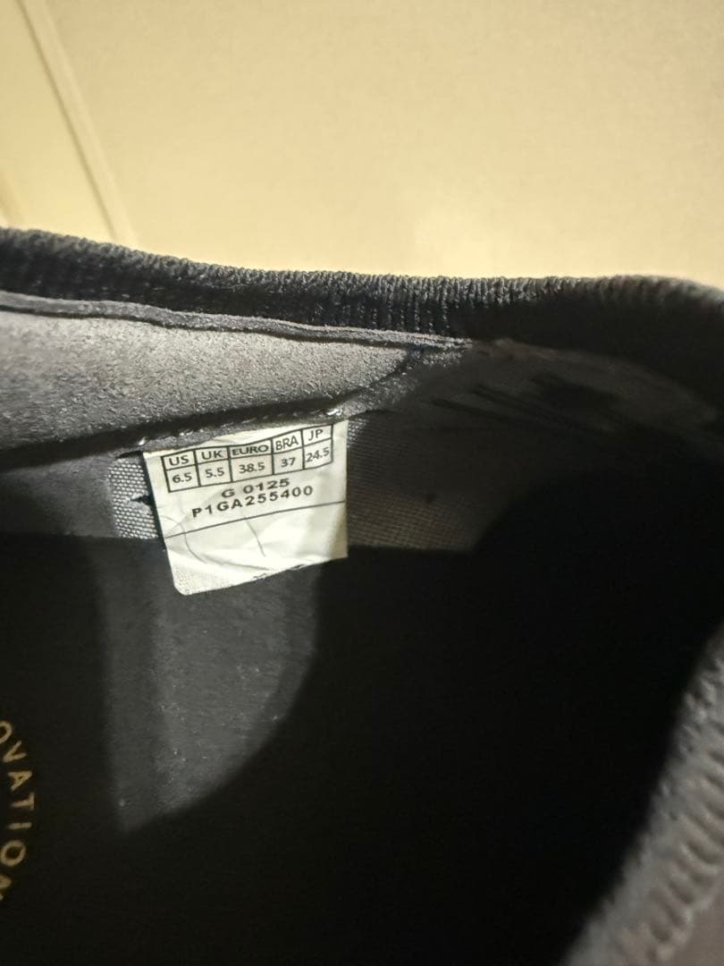 モレリアネオIV β JAPAN Ltd 24.5