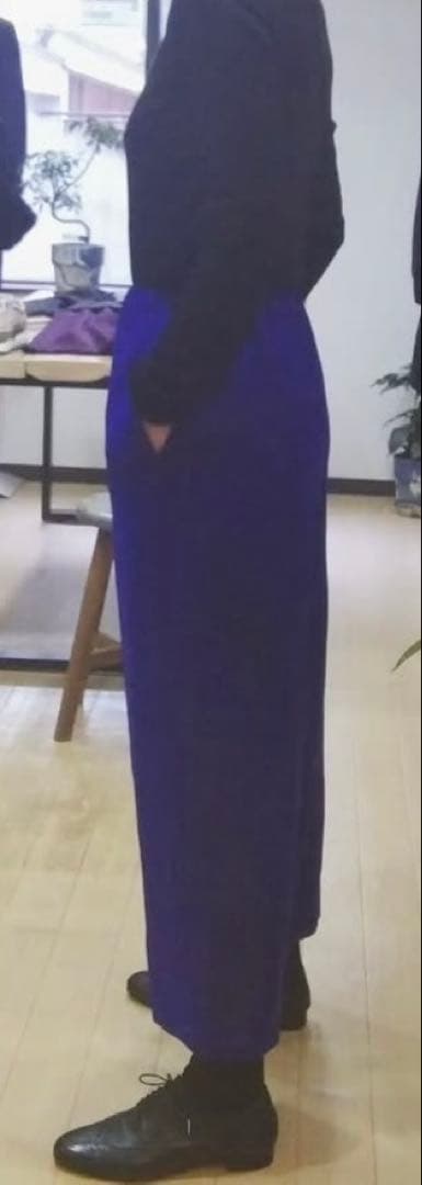 フィルデフェール◇ FIL DE FER ウール レーヨン ジョーゼットパンツ