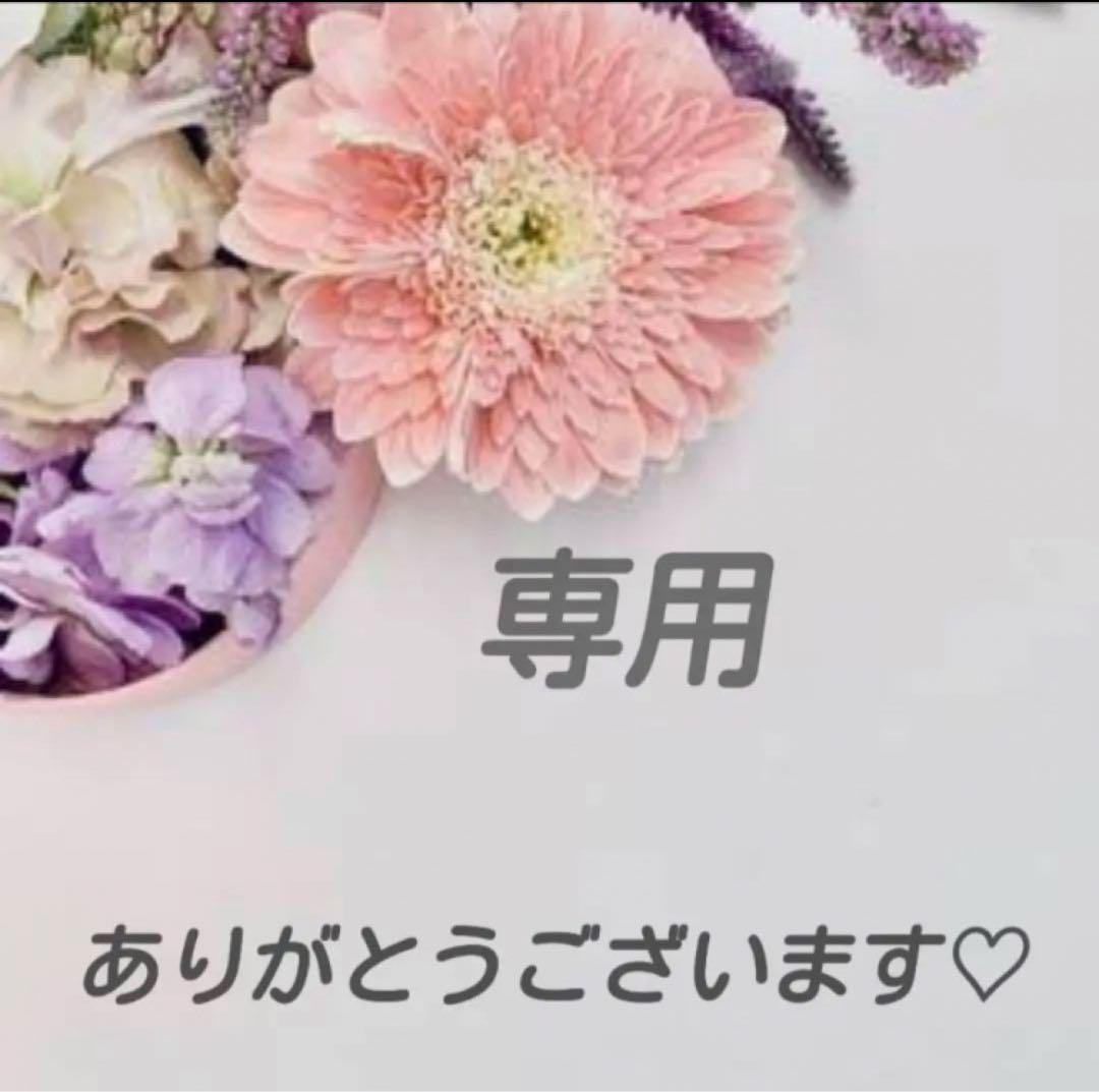 保存容器・ケース Perl