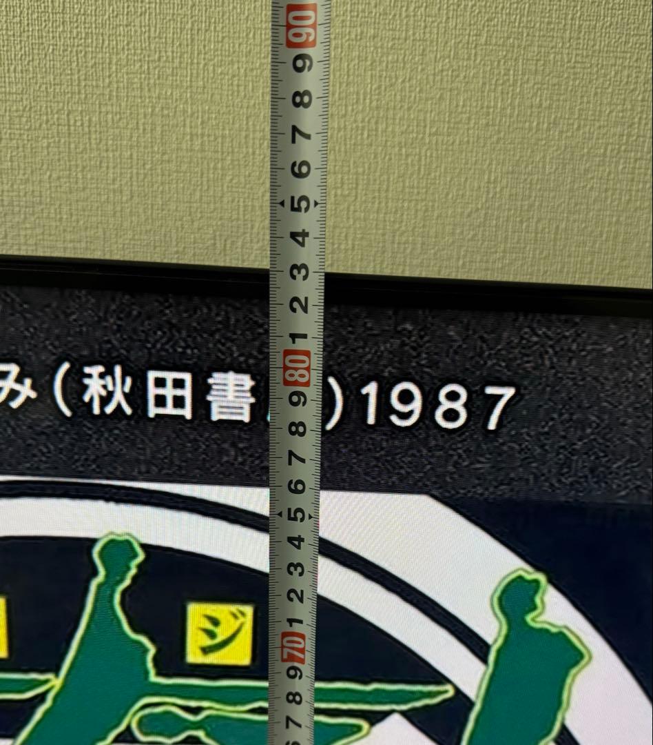 カタツムリ　65インチ 液晶　65S6E EN3A40