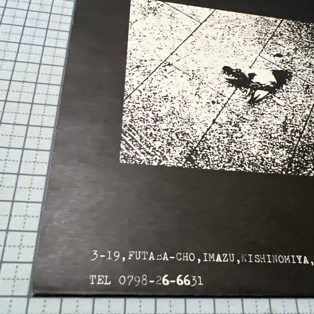 クロウ　CROW WHO KILLED DOVE? オリジナル盤 EP