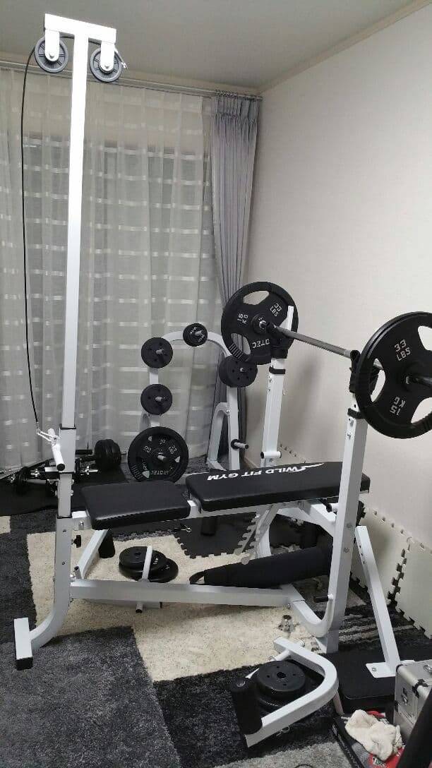 Wild fit セット、フレートラック