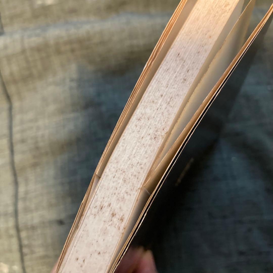 重要漢文単語　文例精解(入試文例数1000)　小林信明監修　昇龍堂出版　古本