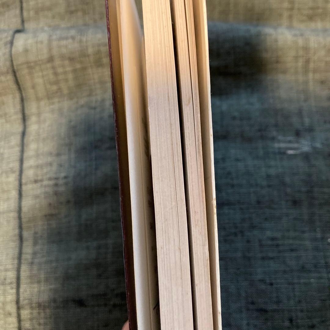 重要漢文単語　文例精解(入試文例数1000)　小林信明監修　昇龍堂出版　古本