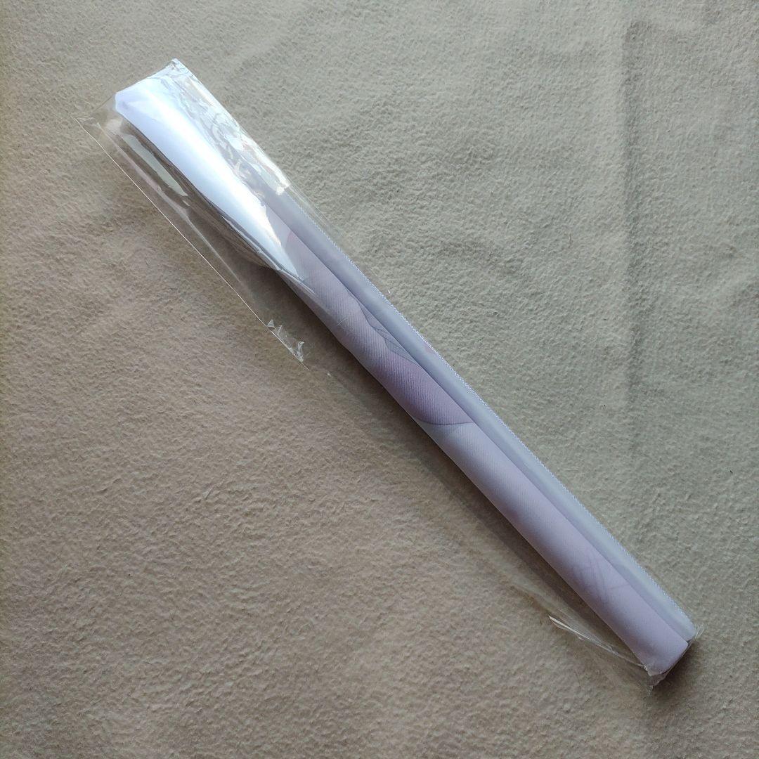 Switch ボクと彼女たちの実習日誌 限定版 店舗特典タペストリー付