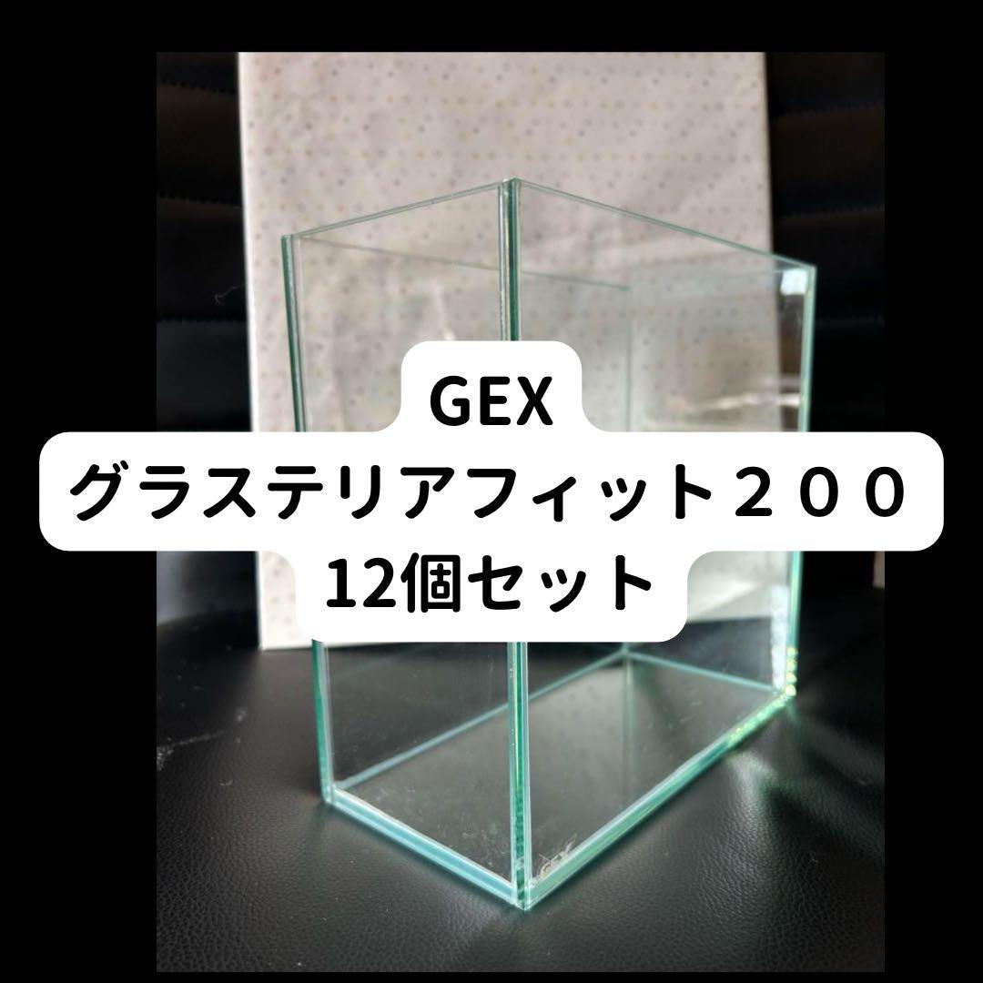 GEX グラステリアフィット200 12個セット