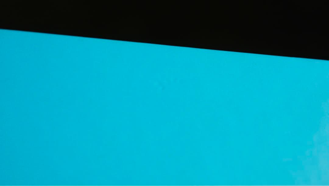 村上隆　直筆サイン入り　kaikai kiki 某有名オークション買入