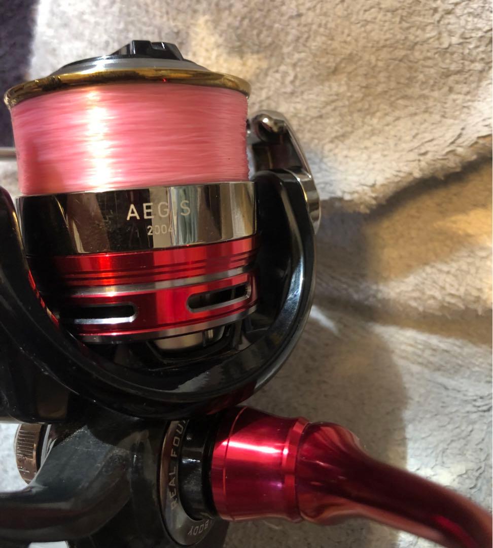 Daiwa 13イージス 2004 &ヘッジホグベアリングキット