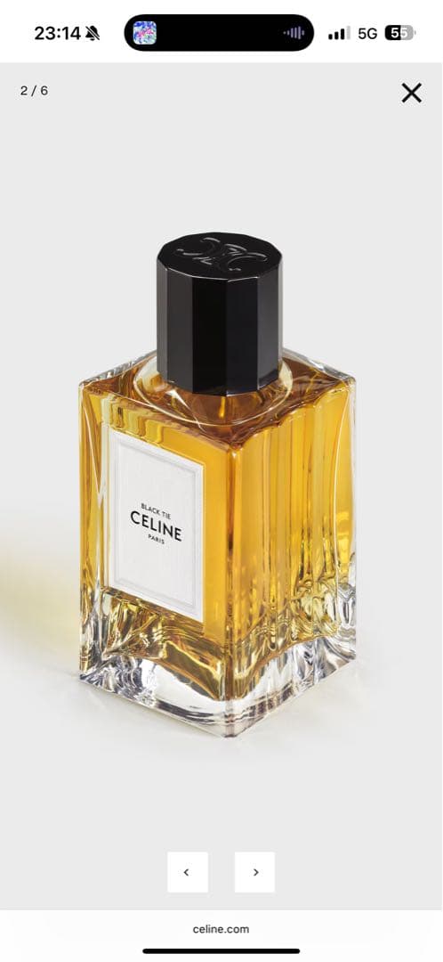 【ほぼ満量】CELINE BLACK TIE 香水