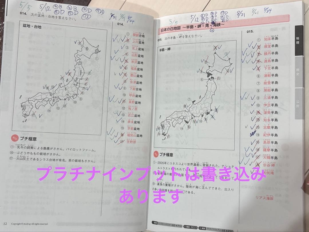 ★スタディアップ★プラチナアウトプット➕プラチナインプット