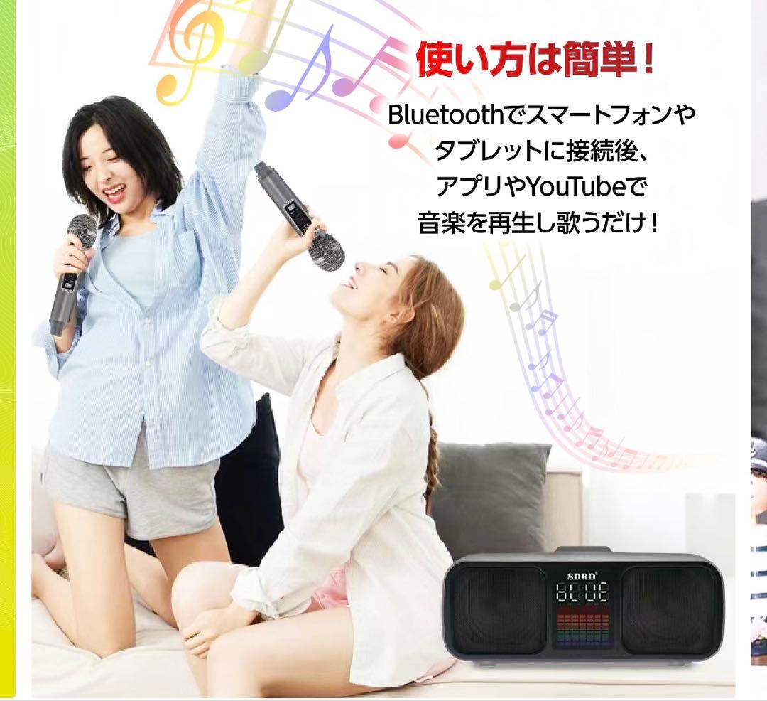 SDRD カラオケセット　シルバー