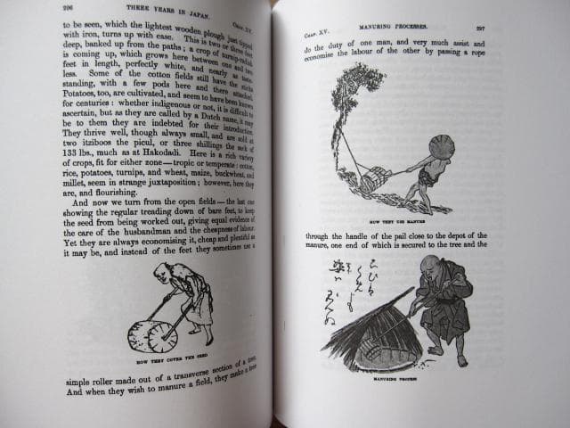 Capital of the Tycoon　Rutherford Alcock