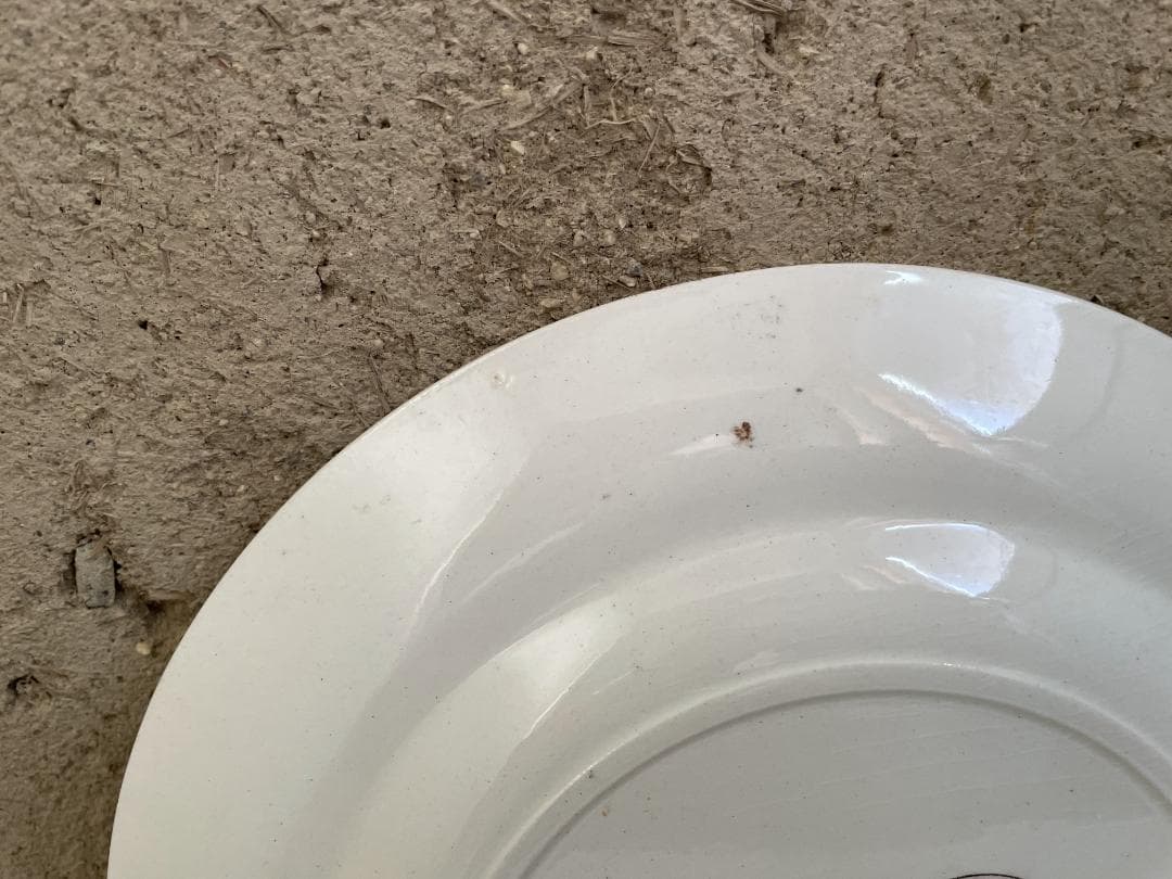 美品 エミールブルジョワ　平皿N-938/フランスアンティーク/ブロカント