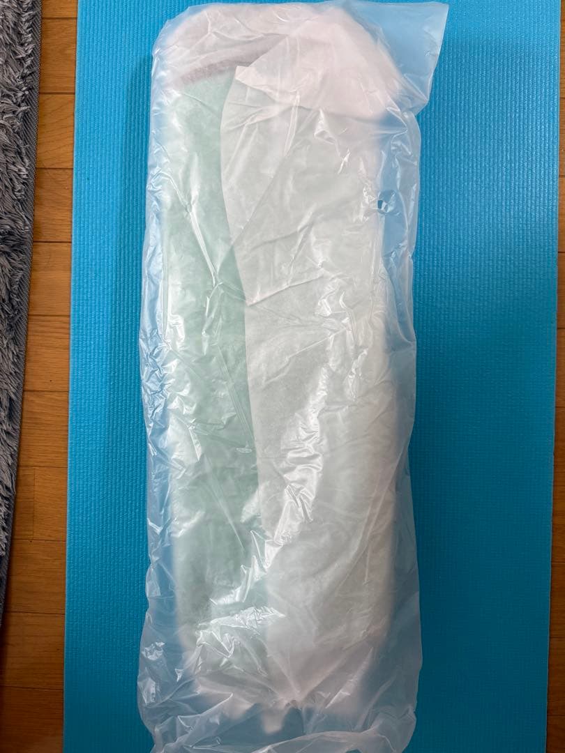 BRIEFING キャディーバック　限定ミントグリーン