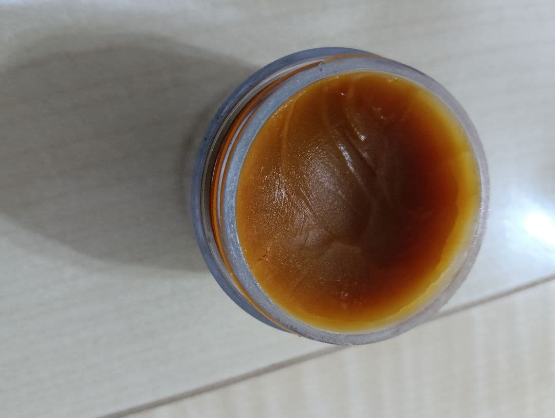 土日発送 GANZO コードバン 折り財布 馬革