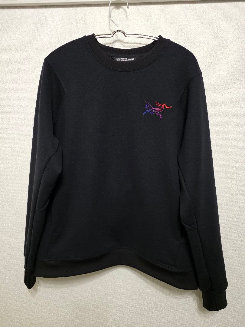 アークテリクス　アエスタスクルー　L　専用