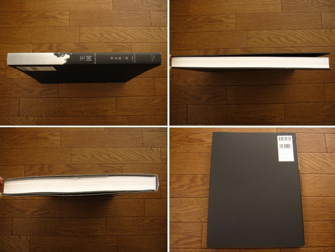 王国 Domains　奈良原一高