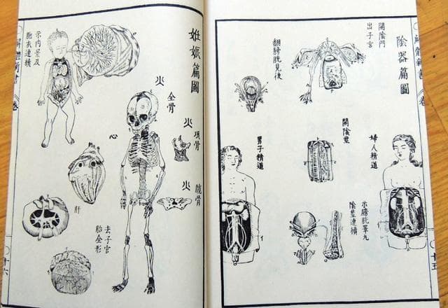 限定3000部 解体新書 解體新書 覆刻版 和綴本全5巻　解説書１巻　 杉田玄白
