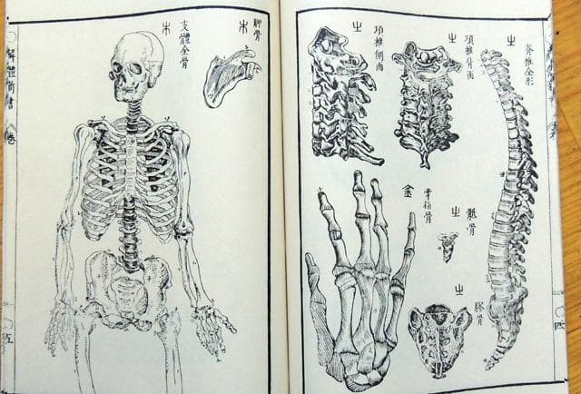 限定3000部 解体新書 解體新書 覆刻版 和綴本全5巻　解説書１巻　 杉田玄白