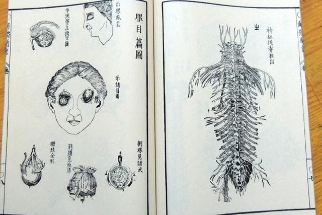限定3000部 解体新書 解體新書 覆刻版 和綴本全5巻　解説書１巻　 杉田玄白