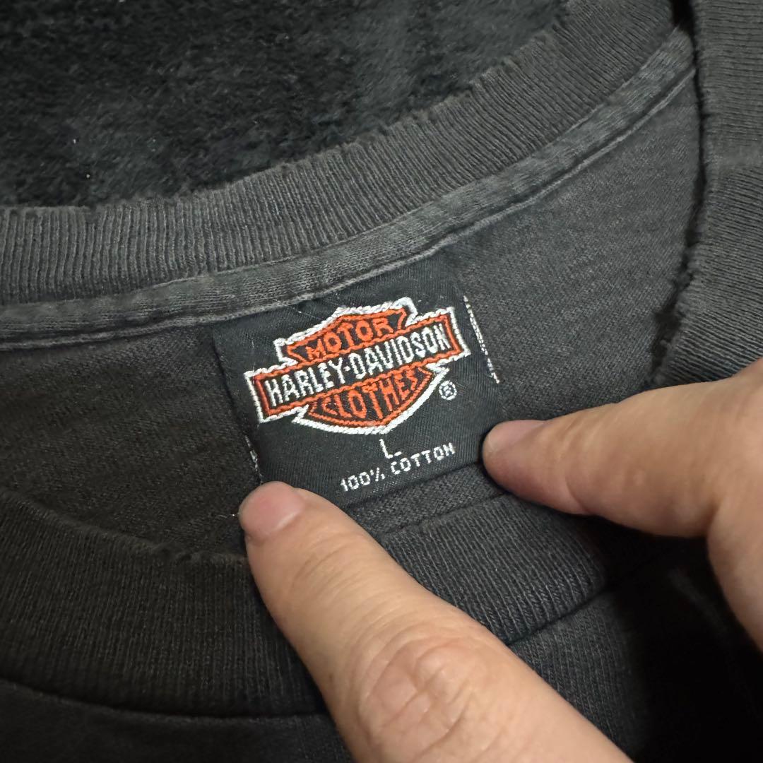 Harley-Davidson Chrome Sweet Chrome フレイム