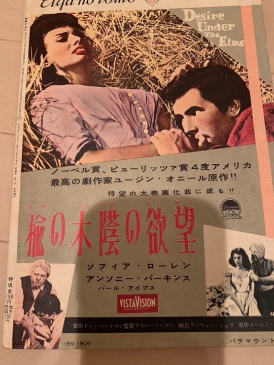 ブリジットバルドー スーザンストラバーグ