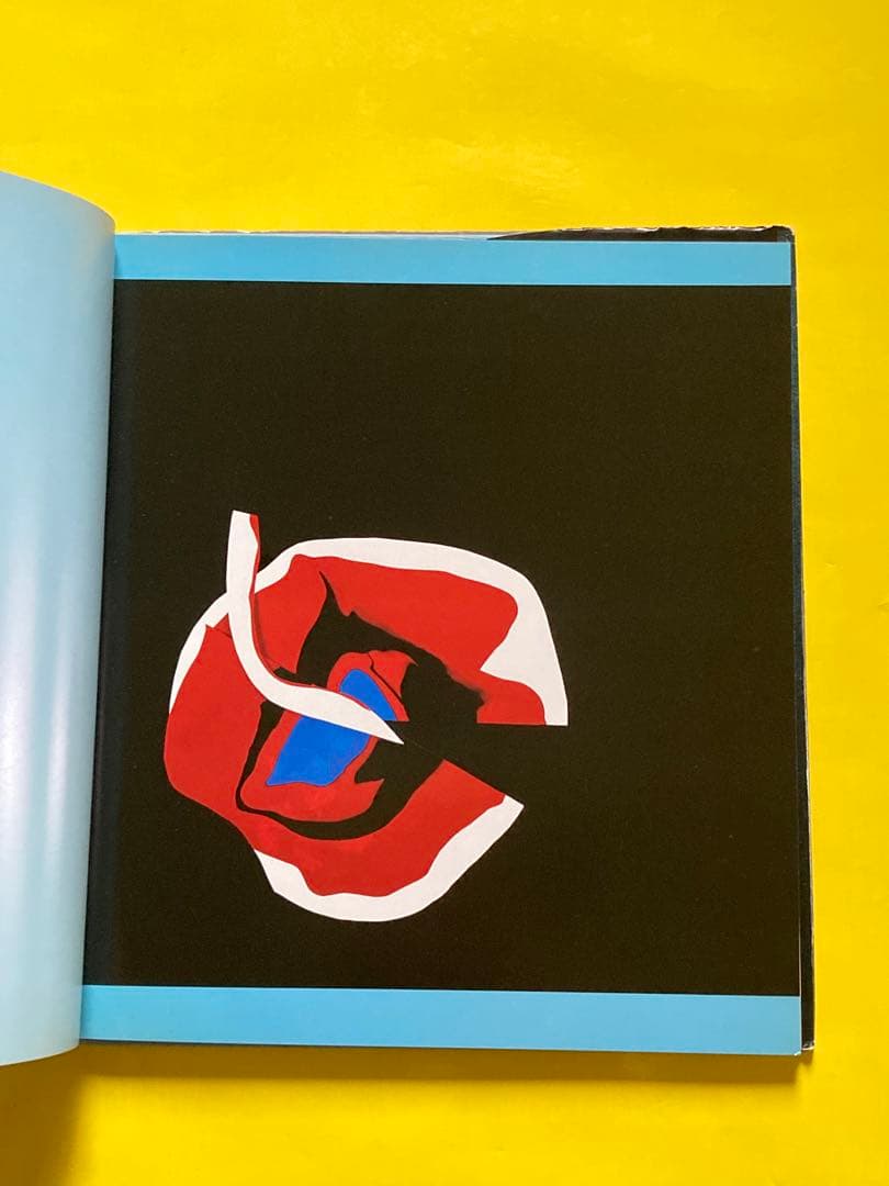 山沢英子　写真集　私の現代