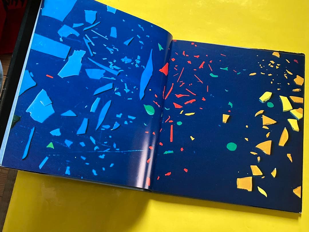 山沢英子　写真集　私の現代