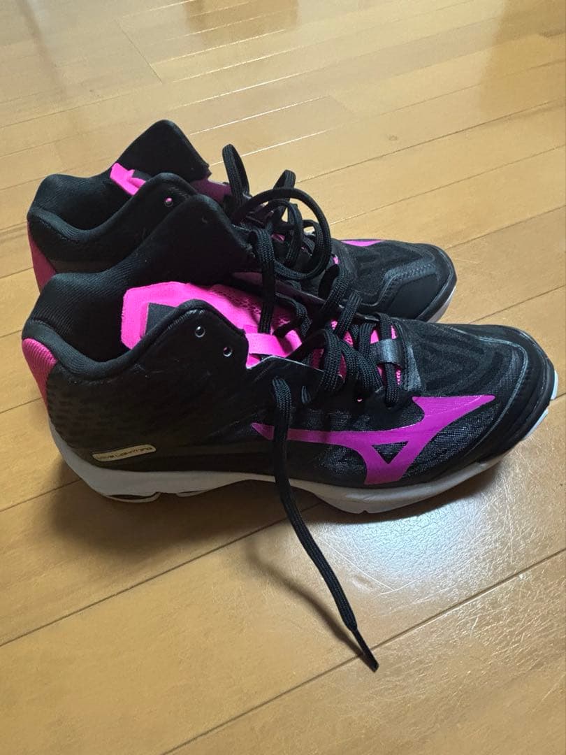 ミズノ　バレーボールシューズ　25cm