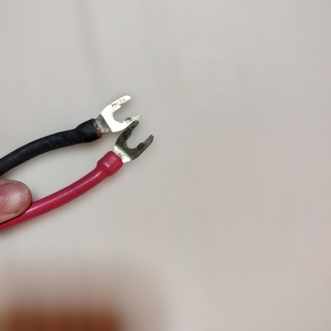 NASPEC WIREWORLD Equinox EQS5²スピーカーケーブル