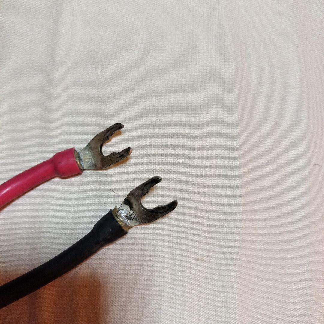 NASPEC WIREWORLD Equinox EQS5²スピーカーケーブル