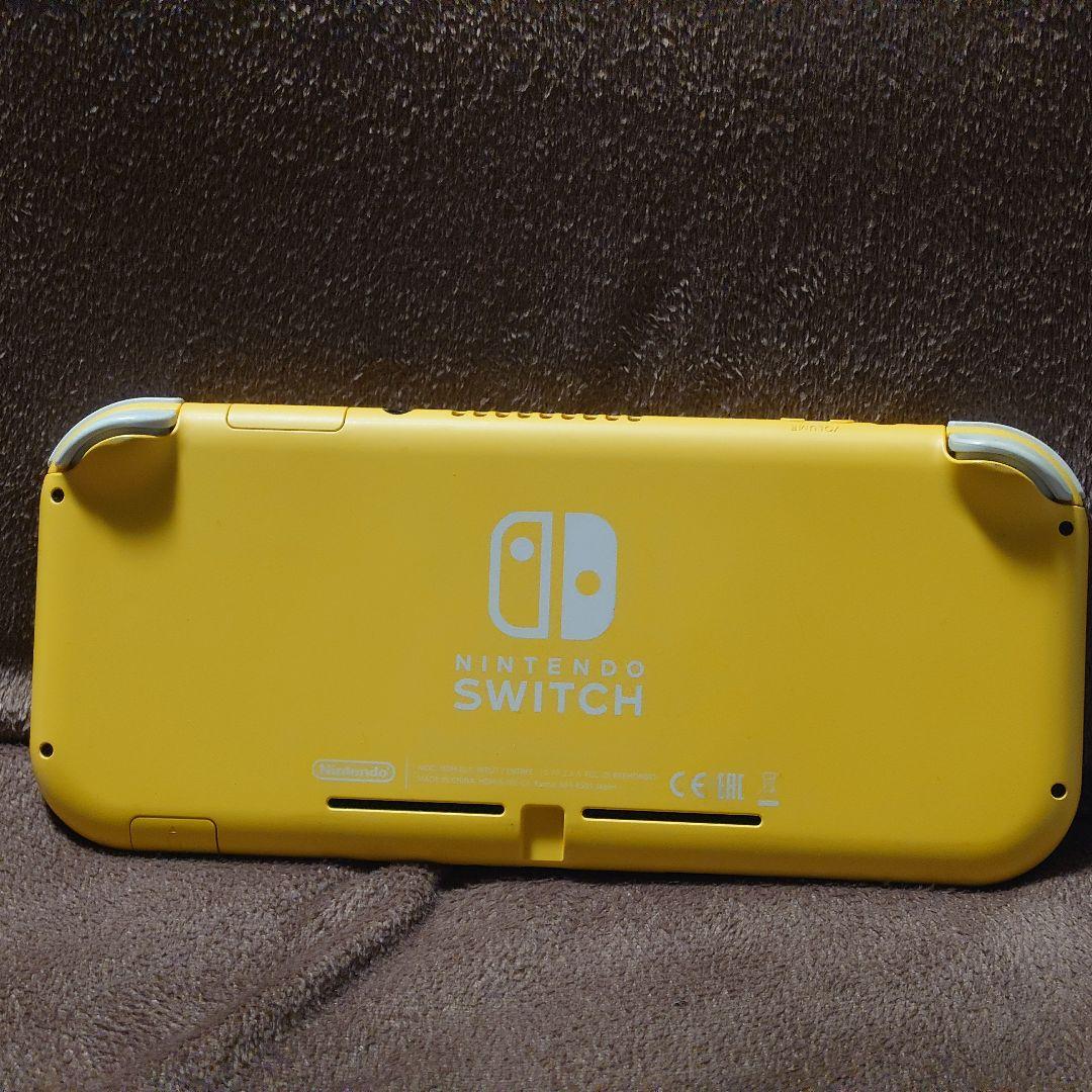 Nintendo switch lite 本体のみ