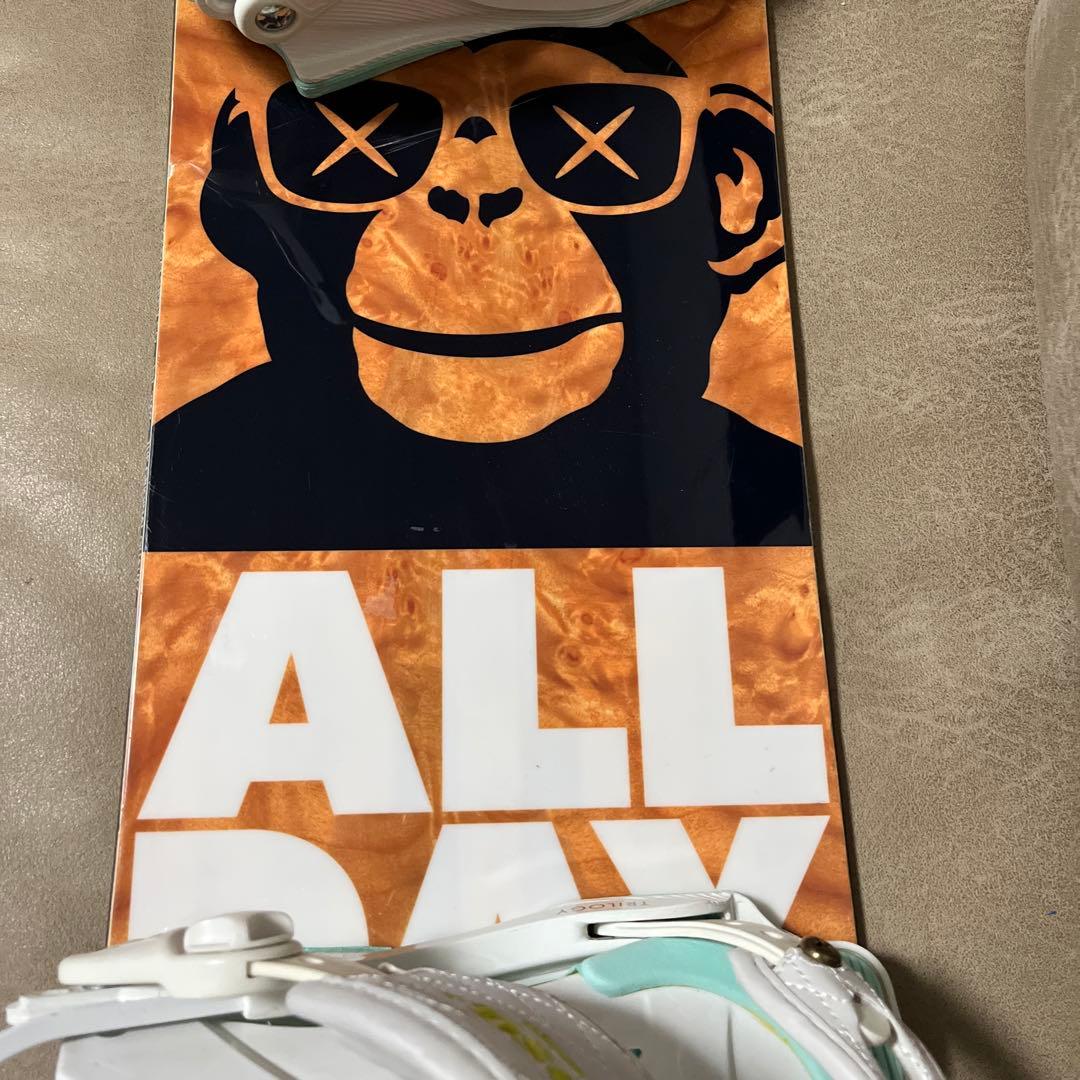 HOLIDAY ALLDAY 138×UNION ROSA M