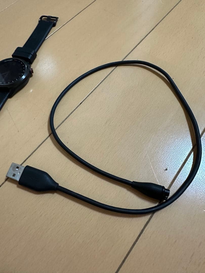 【美品】GARMIN Approach S42 ブラック　充電ケーブル付き