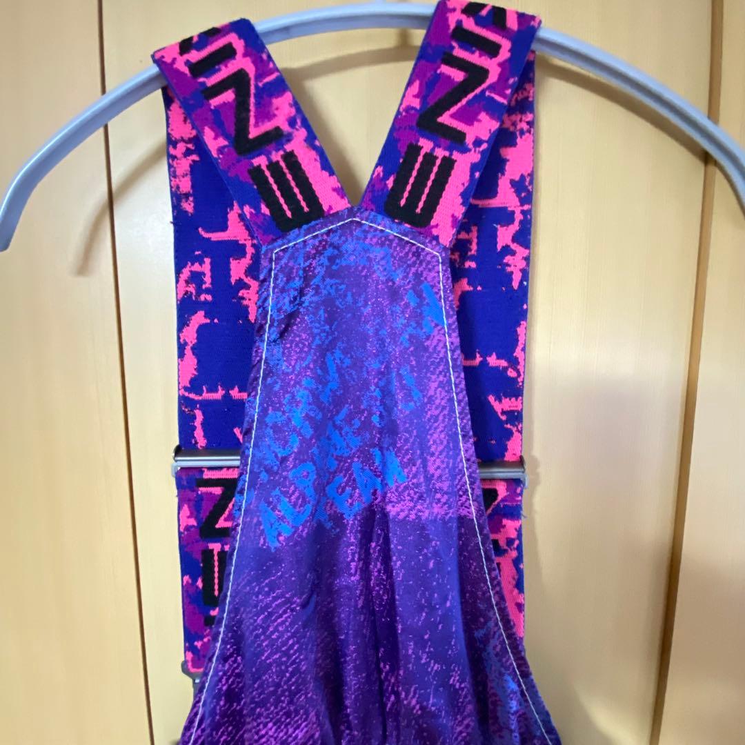 PHENIX ノルウェー代表モデル スキーウェア 上下 刺繍入り　メンズM 美品