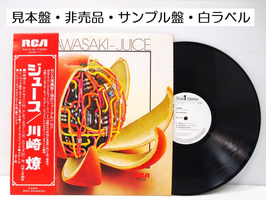 見本盤・非売品 川崎燎 / ジュース RYO KAWASAKI / JUICE