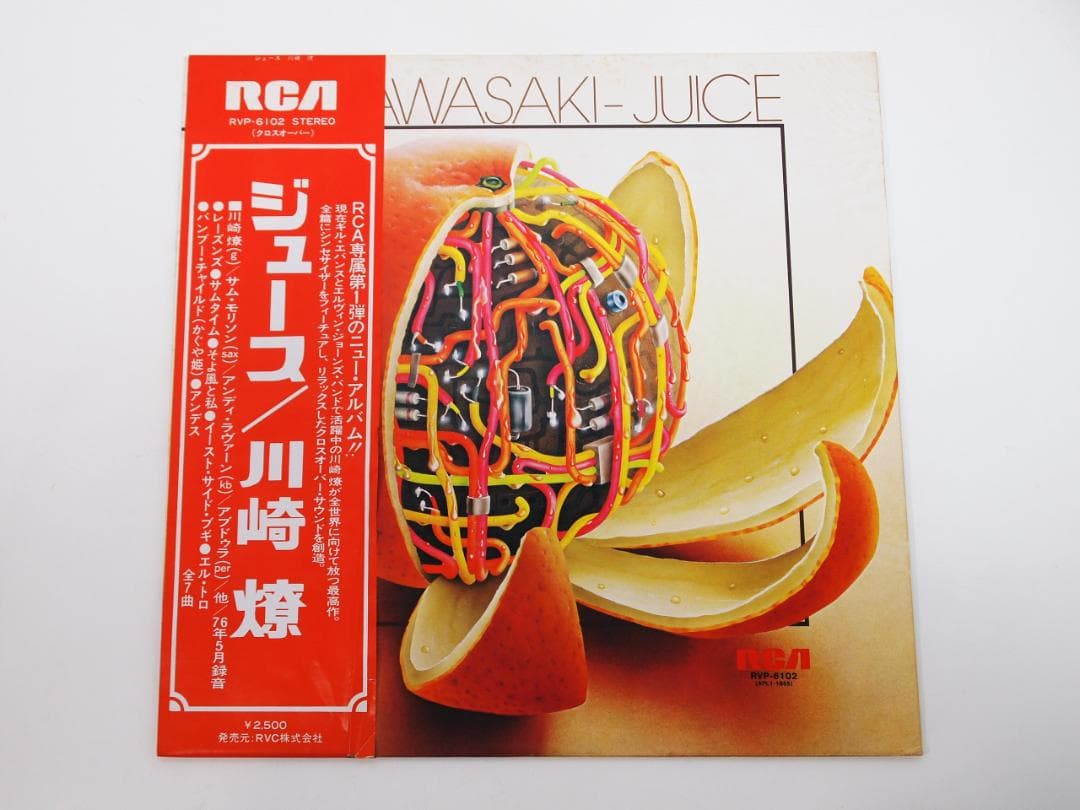 見本盤・非売品 川崎燎 / ジュース RYO KAWASAKI / JUICE