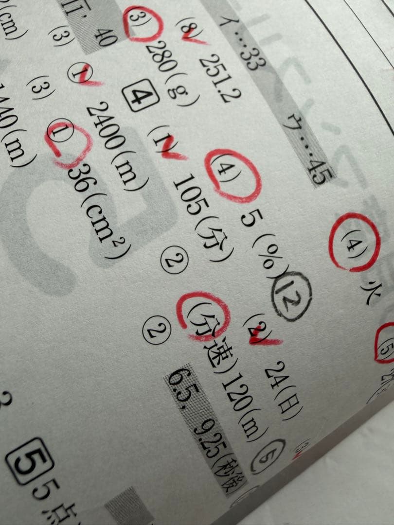 SAPIX 5年 2020年度　マンスリー復習テスト組分けテスト10回分