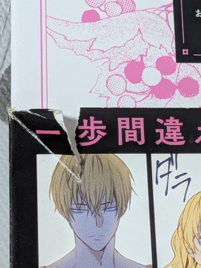 25日まで‼️ ある日、お姫様になってしまった件　全巻