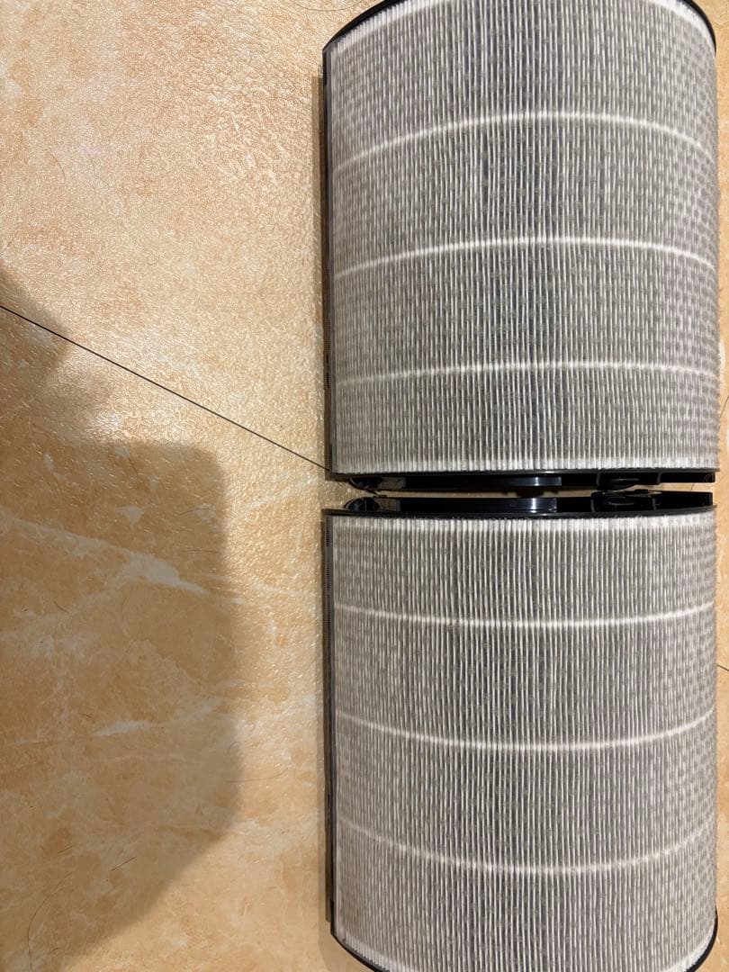 dyson 最終値下げ