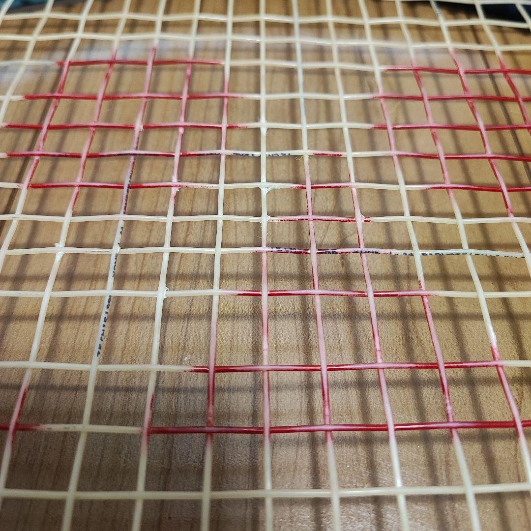 25051718 YONEX EZONE 100L G2 2022年モデル