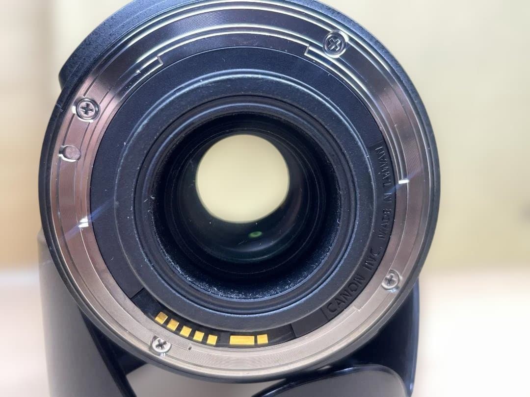 Canon EF-S 18-200mm レンズ