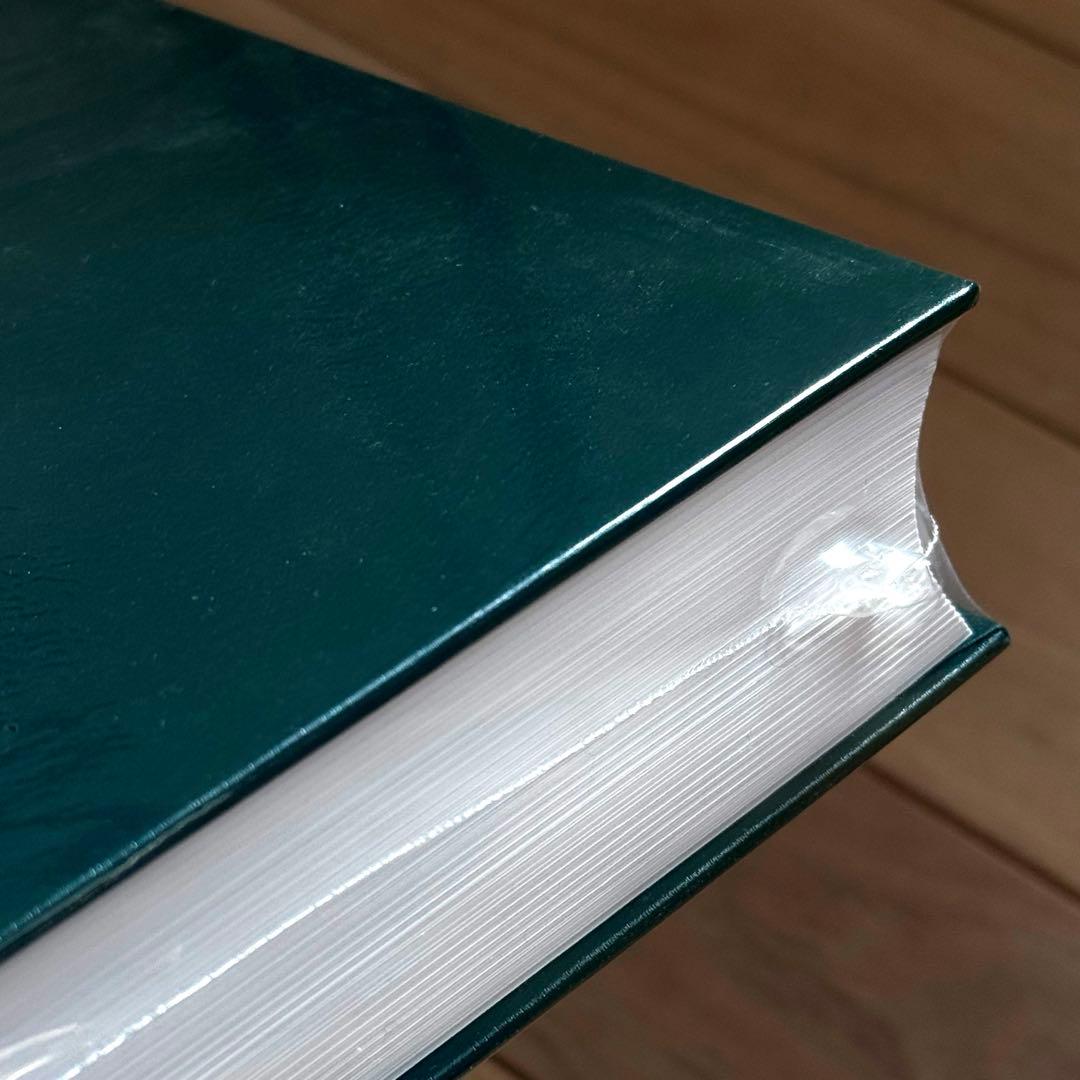 上田義彦 from the hip