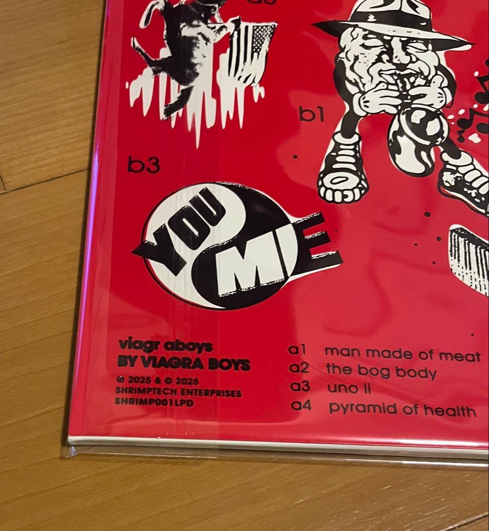 新品未使用品 VIAGRA BOYS viagr aboys レコード