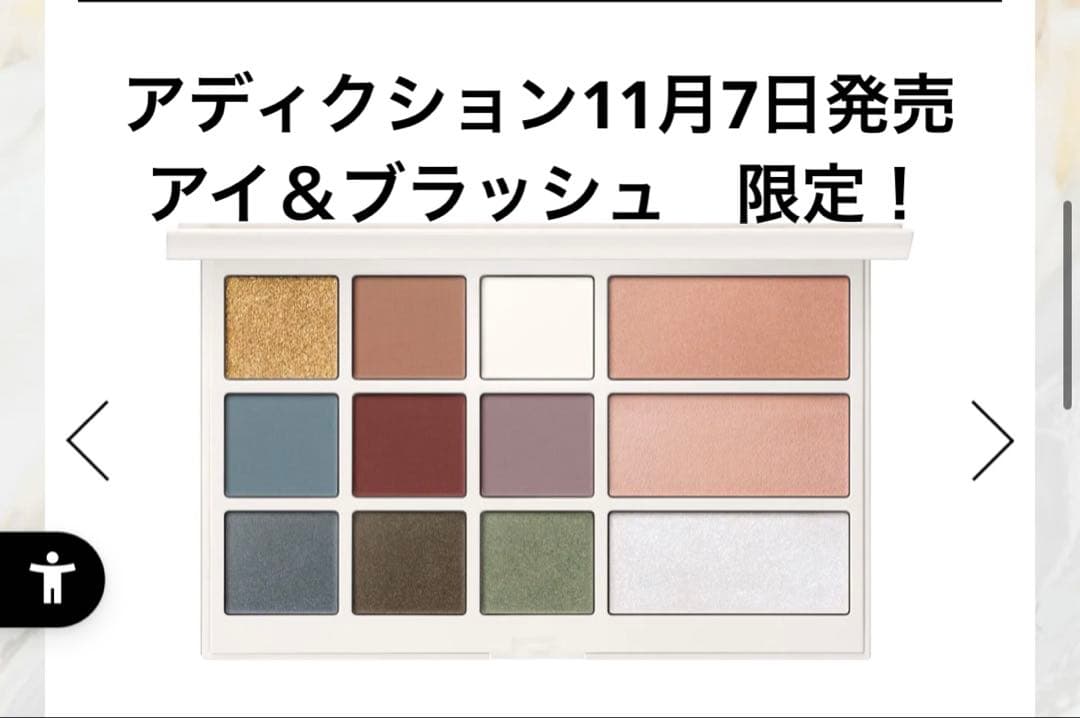 最終お値引き！アディクション　2025ホリデー限定！アイ＆ブラッシュパレット