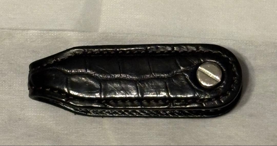 ルド　WILDSWANS ガルダール　クロコダイル